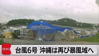 台風6号 沖縄は再び暴風域へ（2023年8月4日）