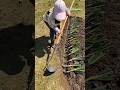 Save heaps of time with this trick! ⏳#FarmingHacks #SmartFarming#shorts