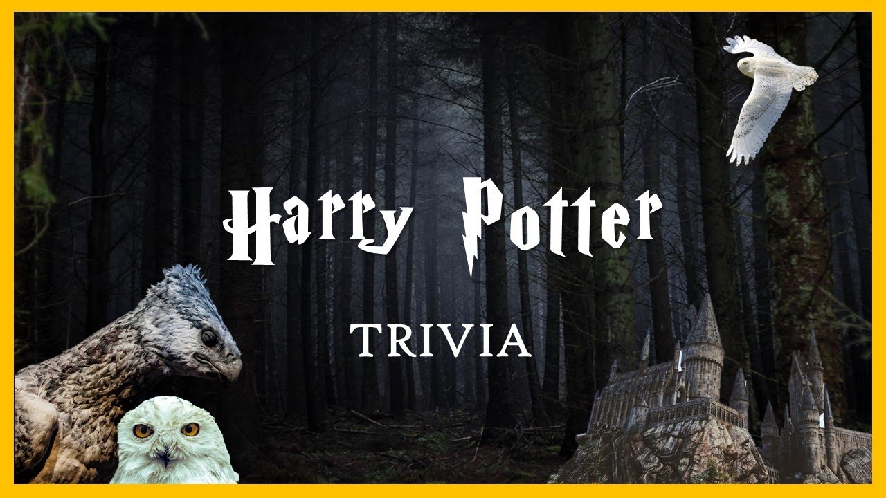 Harry Potter ⚡ Quiz Trivia 🎬 | Guess the characters with images | Like A Pro | Trivia Quiz Test
