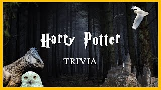 Harry Potter ⚡ Quiz Trivia 🎬 | Guess the characters with images | Like A Pro | Trivia Quiz Test