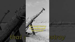 You Didnt See This Mistake In Saving Private Ryan