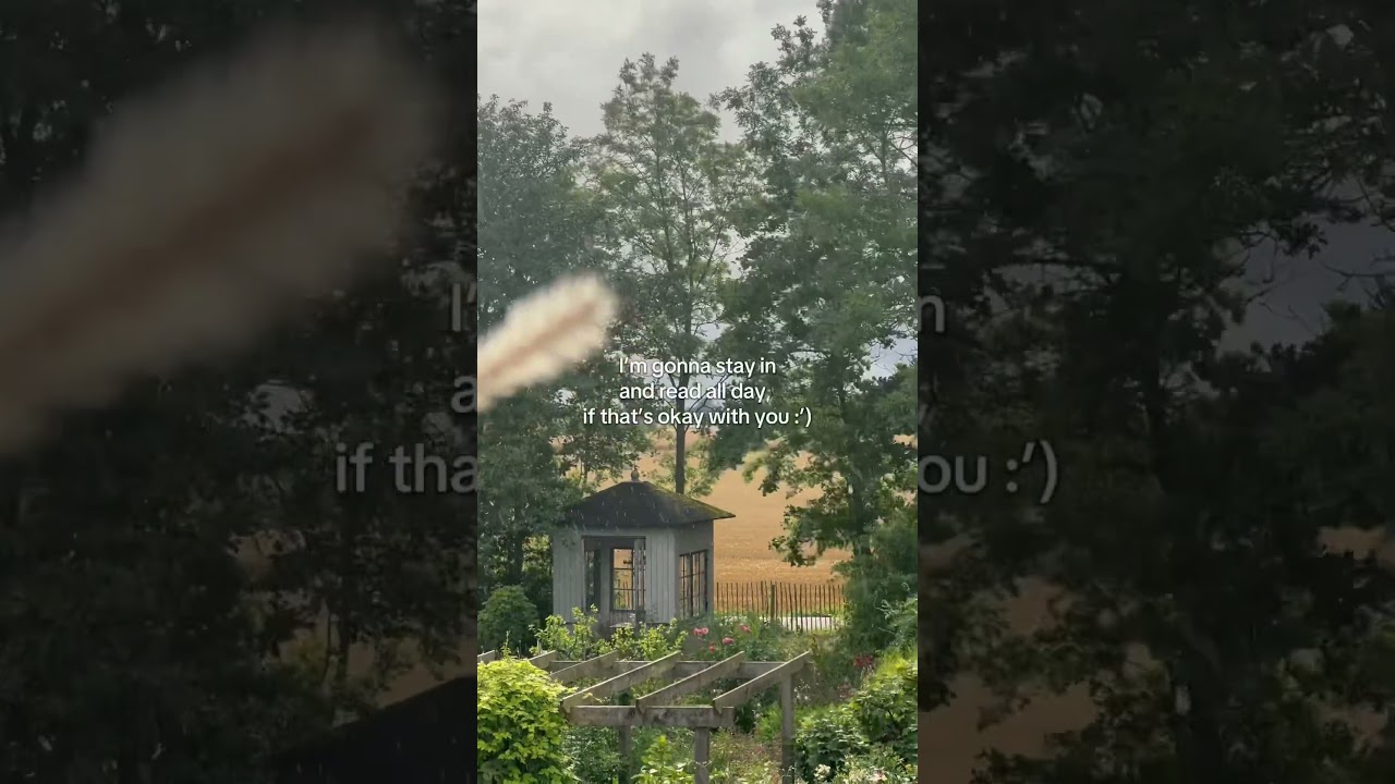 Reading weather 🌙📚 