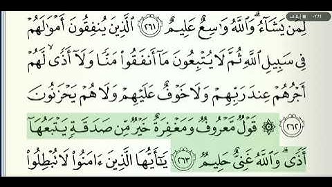 صفحة رقم 44 الشيخ وديع اليمني القرآن الكريم