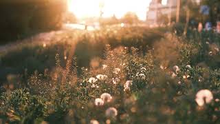 506 | cozy piano instrumental
