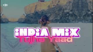 INDIA MIX MANTUL - Tujhe Yaad Na Mery Aayi - ( fandho rmxr )