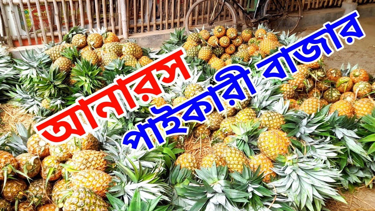 টাঙ্গাইল মধুপুরের আনারস বাজার | Pineapple market in Madhupur, Tangail | মামুন ফল ঘর মহাদেবপুর নওগাঁ 