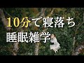 眠りにフィットする快眠雑学|毎日の睡眠を楽しむ