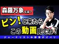 【森羅万象とは？】あなたが生まれてきた本当の理由と役割もわかるかも？