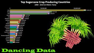 Top Sugarcane Crop Producing Countries