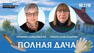 Домашние заготовки для дачи / 22.03.2024