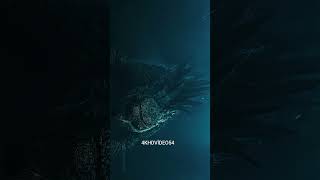 GODZİLLA 4K 120FPS  #shorts #fullhd #4k #video #subscribe #and #like