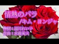 情熱のバラ:キム・ヨンジャ/55歳で歌手デビューした私が歌ってみたシリーズ