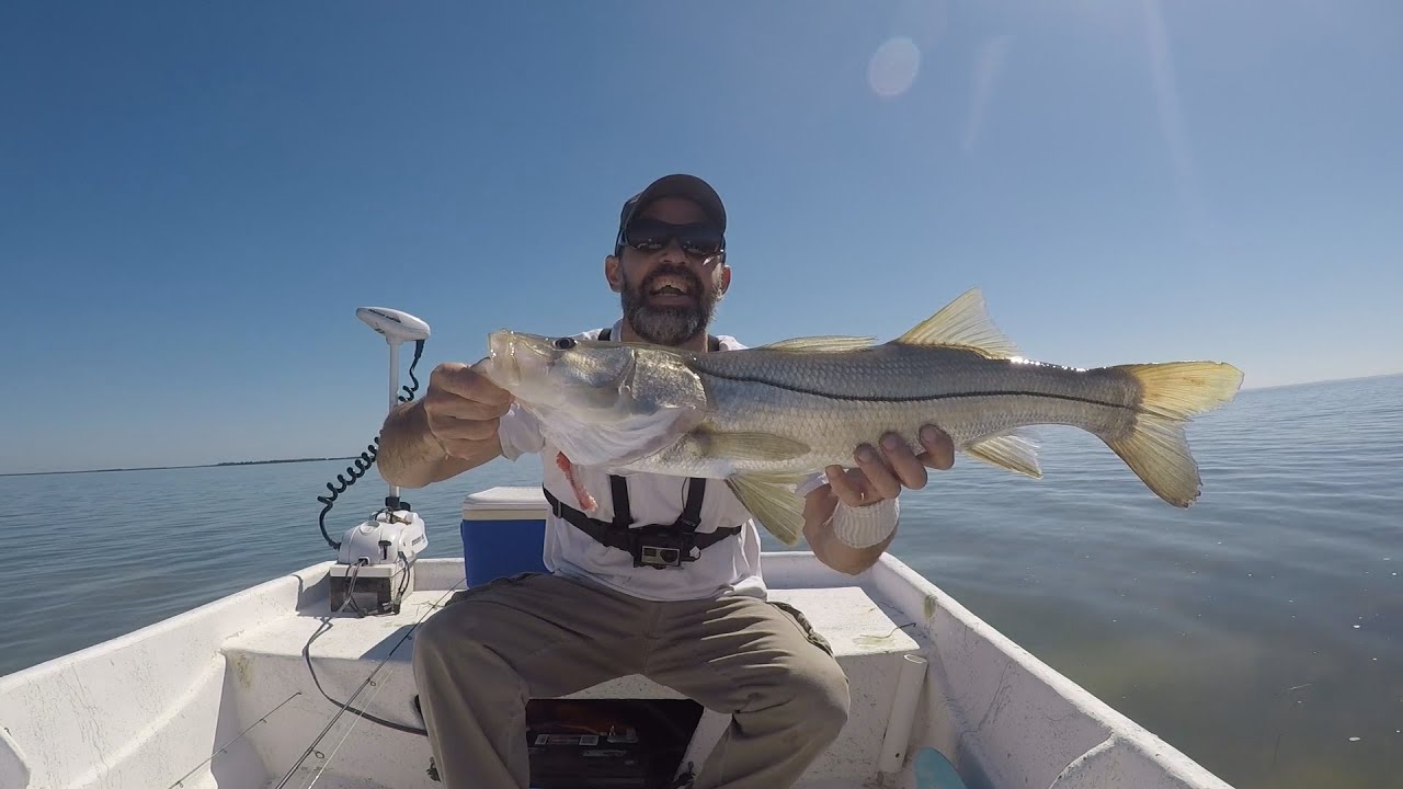 My FIRST Time Fishing Flamingo In 6 Years... Everglades National Park YouTube