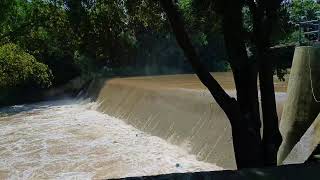 Download Lagu DJ VIRAL TIKTOK TERBARU 2025 | KATANYA CINTA TAK BUTUH RUPA | CINTA DARI SEBERANG FULL ALBUM🔥 MP3