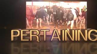Minimum age of Sacrificial Animal for Udhiya or Qurbani - Assim al hakeem