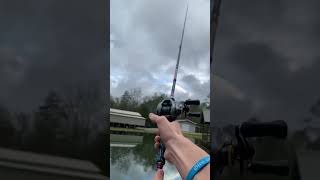 Curado DC 200 HG #fishing #viral #trending #bassfishing #mustwatch #like #subscribe #perfect #cool