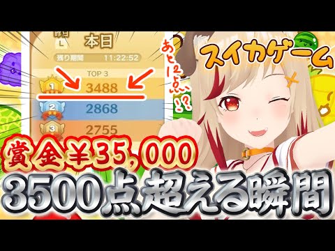 【  #スイカゲーム  】🍉3500点目の前です！！！集合！！！！【 瀬島るい ┋ ななしいんく】