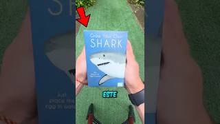 He Bought A Shark Egg And What Came Out Surprised Everyone