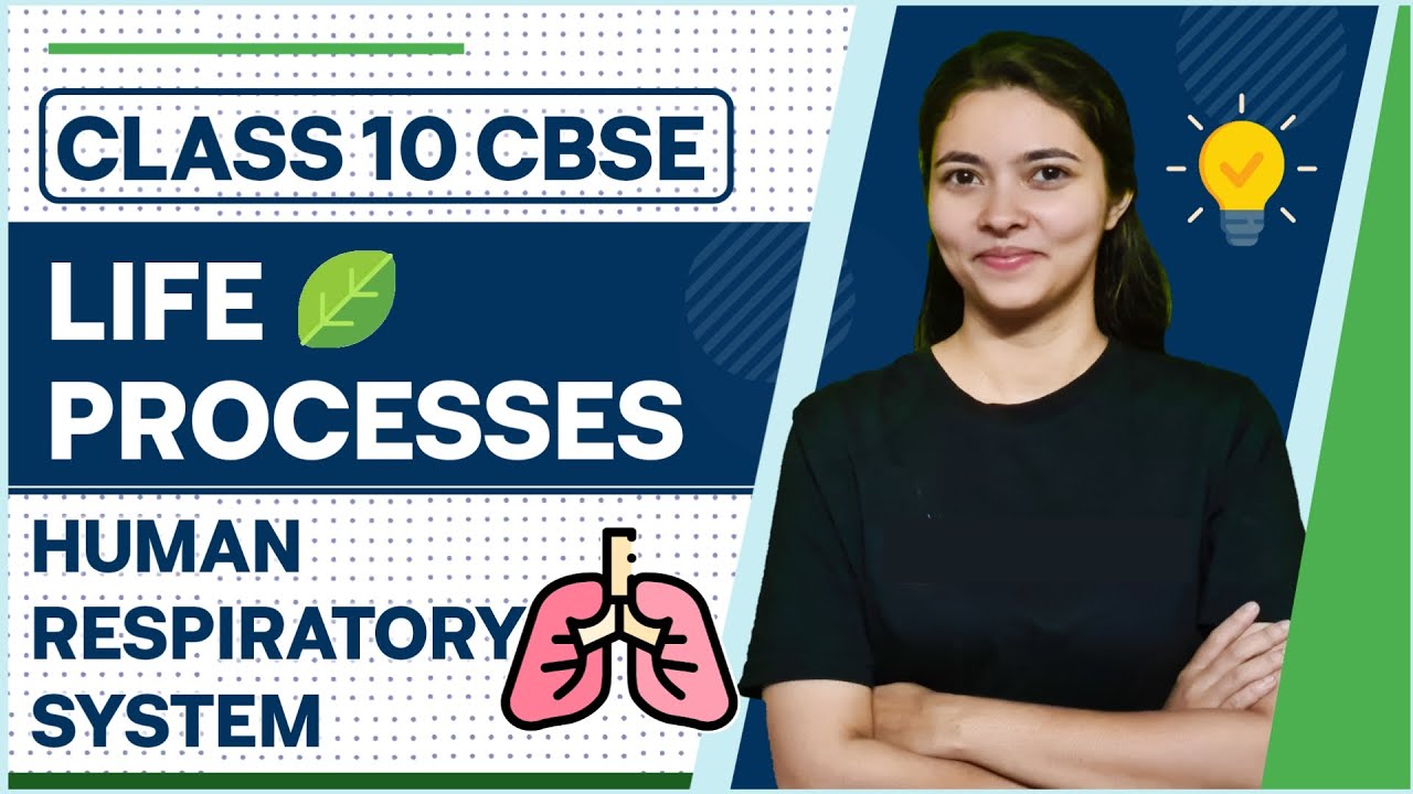 Human Respiratory System | Respiration In Human | CBSE Class 10 Science ...