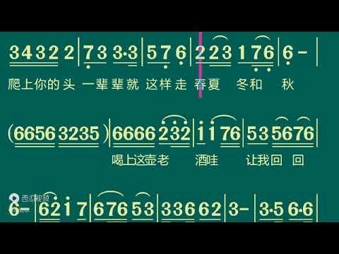 一壺老酒   伴奏 動態簡譜