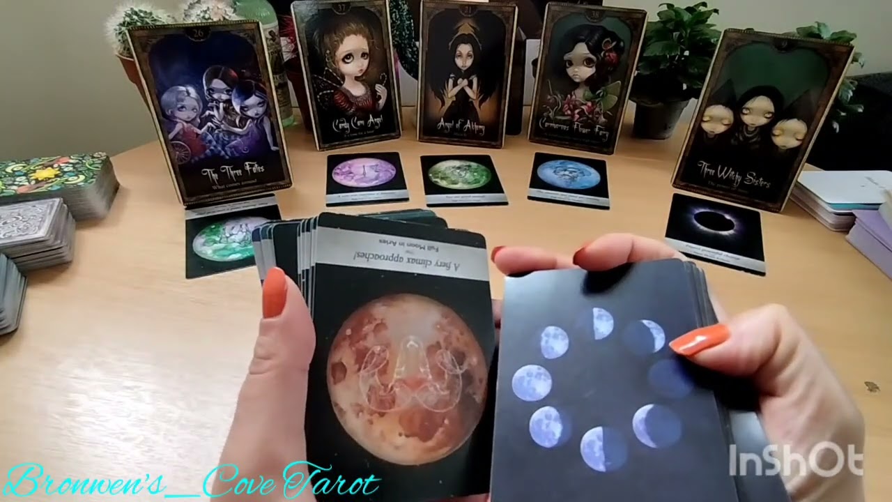 The rv High Priestess' 🎭 was ripped off, ur DC came 🐎 in to save the day💪🥷 #yourbabyisalightbeing✨✨