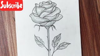 How To Draw A Rose Step By Step Rose Drawing Easy