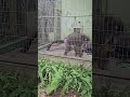 おーい