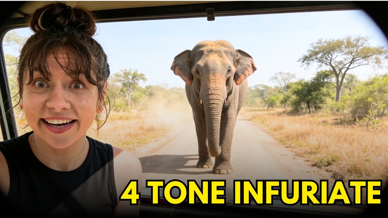 Ne-a atacat un elefant | SAFARI IN SRI LANKA