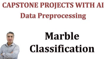Capstone  Senior Graduation Project with AI: Data Preprocessing & Model Building Marbel Detection