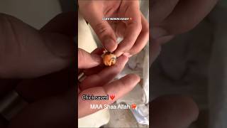 Love birds eggs hatching time #birds #lovebirds #hatching #shorts
