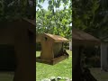 single sparrow