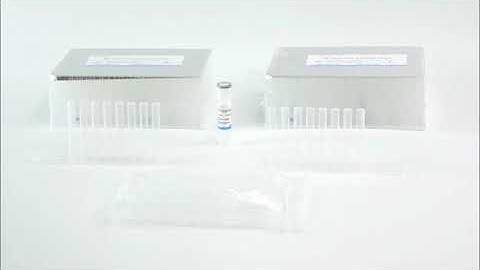 magnetic beads video