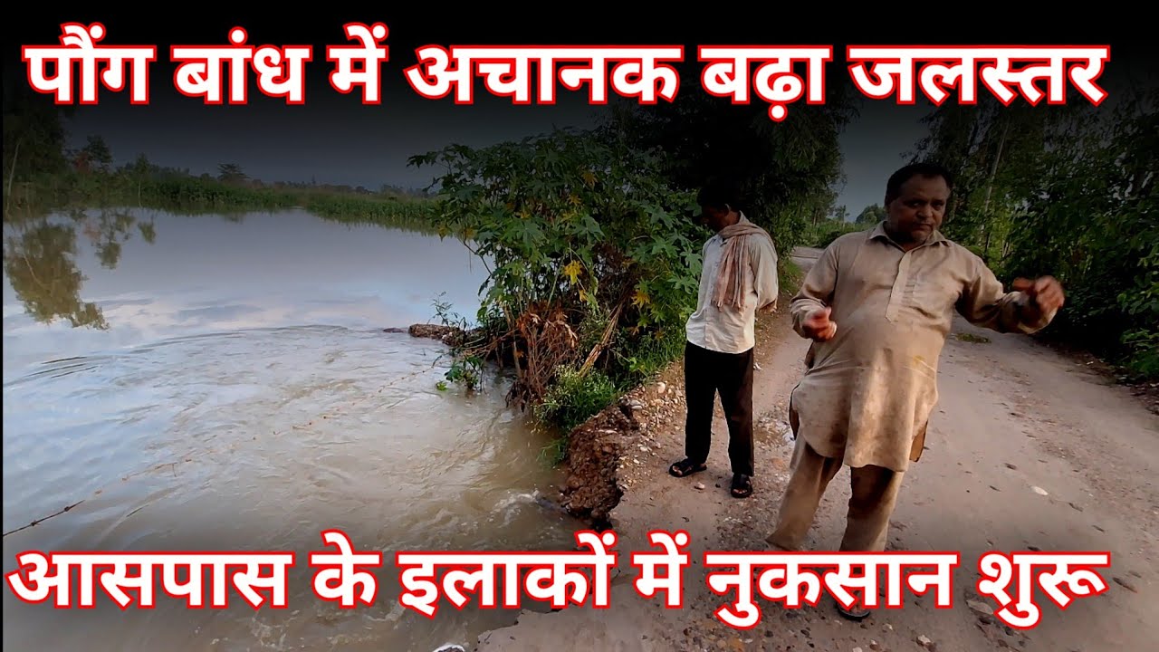 Handwal में पानी आने से रास्ते बंद || pong dam today news || pong dam ...
