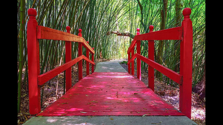 Brian McClean Artwork in New Ocala, Florida VA Cli...