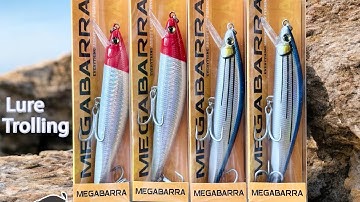 Mồi lure biển, trolling, chạy dắt cá Thu cá Nhồng