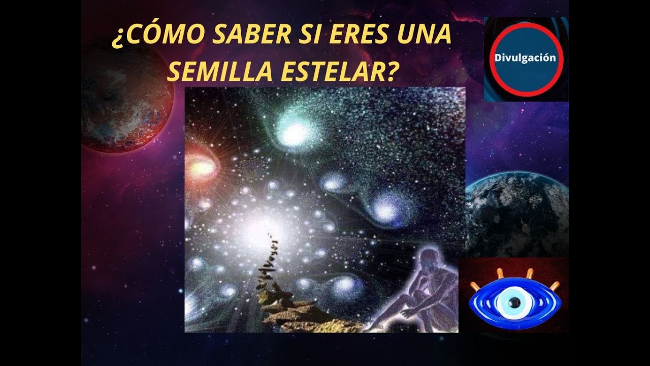 Que Es Una Semilla Estelar _ Tipos De Semillas Estelares – UNZI