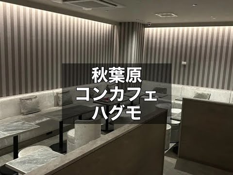 秋葉原　ハグモ　（HuGMo）　ガールズバー　店内紹介