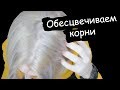 КАК ОБЕСЦВЕТИТЬ КОРНИ ДОМА (не повторять)