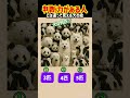判断力のある人には違って見える犬の絵
