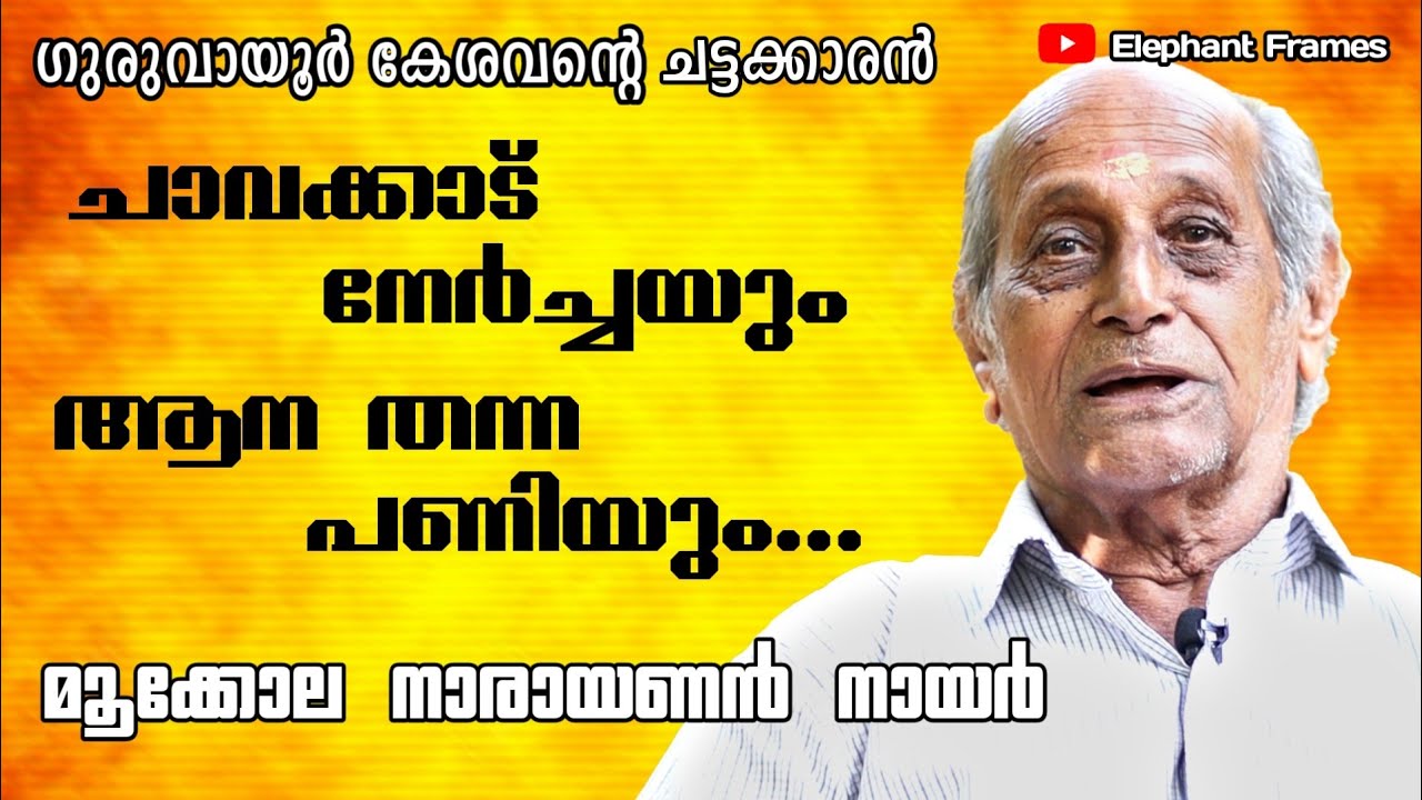 ചാവക്കാട് നേർച്ചക്കിടയിൽ ആന  പുഴയിൽ  ചാടി | Elephant Frames | Mookkola Narayanan Nair | PART 5