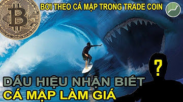 Những dấu hiệu nhận biết CÁ MẬP làm giá trong Trade Coin mà nhà đầu tư phải biết