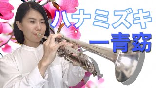 【トランペットソロ】一青窈「ハナミズキ」を演奏してみた！【Trumpet cover】