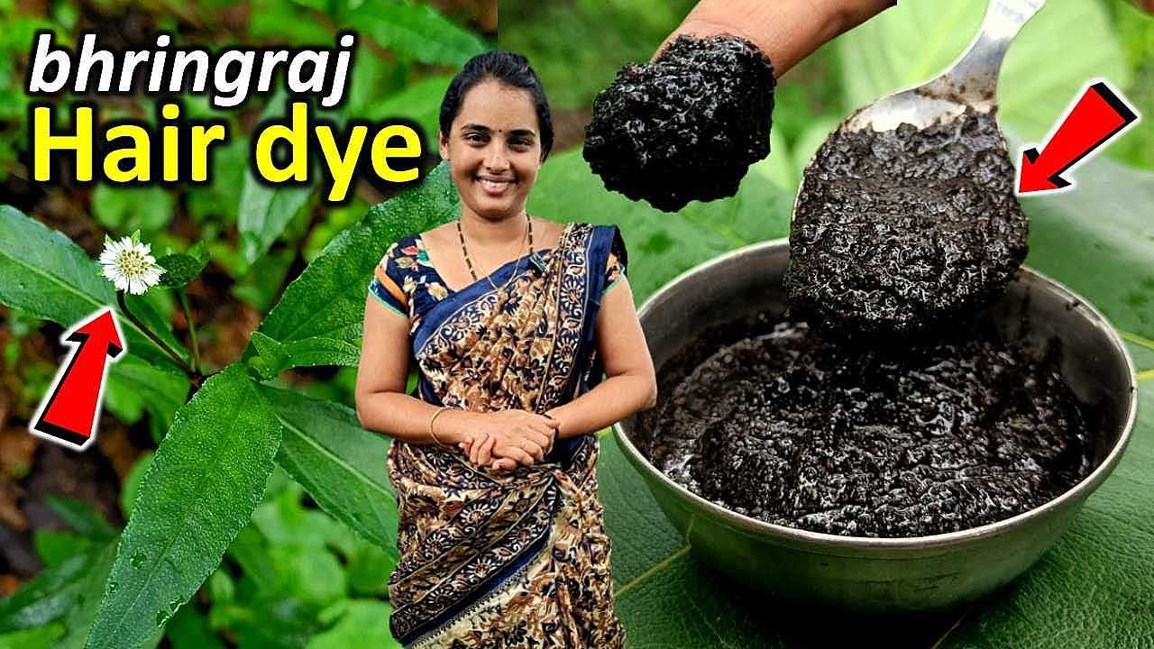 ಬೃಂಗರಾಜ ಎಲೆಯ ಈ ಅದ್ಭುತ ಹೇರ್ ಡೈ ಬಿಳಿಕೂದಲನ್ನು ಕ್ಷಣದಲ್ಲಿ ಕಪ್ಪಾಗಿಸುತ್ತೆ | 100% Homemade Natural Hair Dye