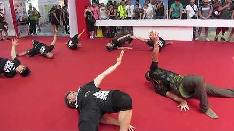 Primitive Functional Movement® Group Workout al Rimini Wellnes 2015