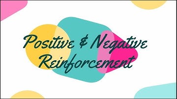 Positive and Negative Reinforcement | Equine Training and Behaviour