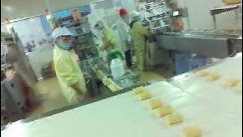 YX swiss roll machine   making layer cake and swiss roll