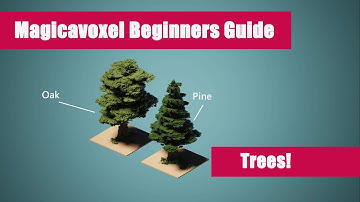 Magicavoxel Beginners Guide: Trees!