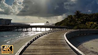 【モルディブ 散歩】 朝の海沿いをのんびり散歩 リラクゼーション4K自然動画、癒しの波音｜Amilla Maldives morning walk relaxing nature video