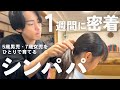 【男性の“育児参加”】働き方を見直すのはこの日常を知ってから / 父親だけで子育てしている家庭|2児のシングルファザー