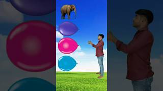 Ballon brustting to elephant, horse, lion &amp; tiger - Funny vfx magic video😱 #shortvideo #shortsfeed